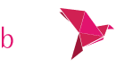 bKash
